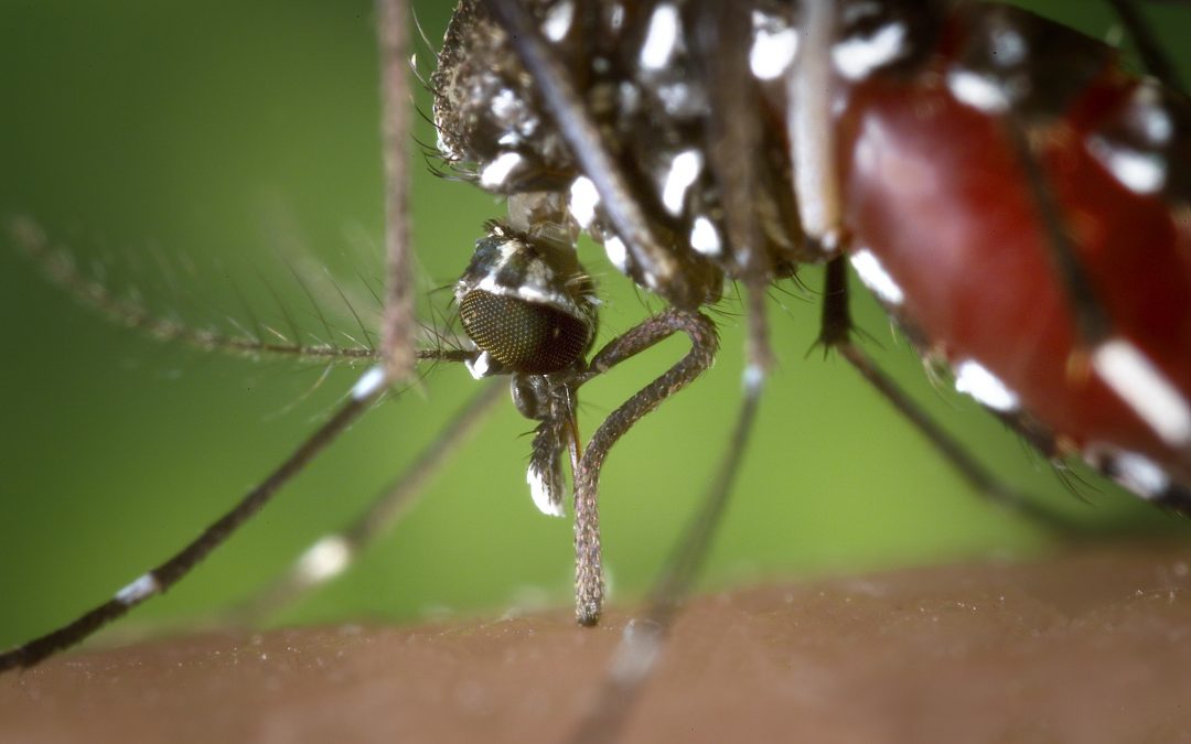 Zika: Maryland Urgent Care Update
