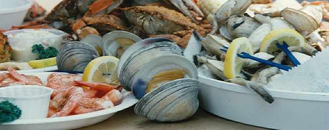 Chesapeake Bay Seafood: What Is Safe to Eat?