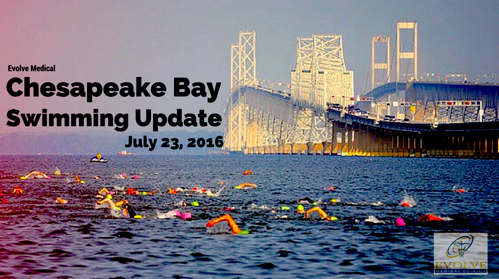 The Chesapeake Bay Swimming Update