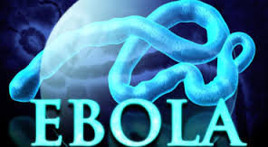 Ebola Virus: Prevention