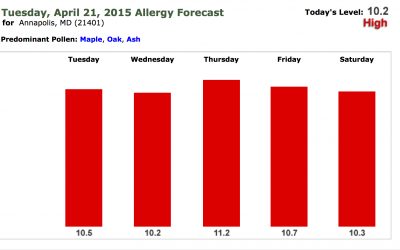 Allergy Season is Here: An Annapolis Primary Care Update from Evolve